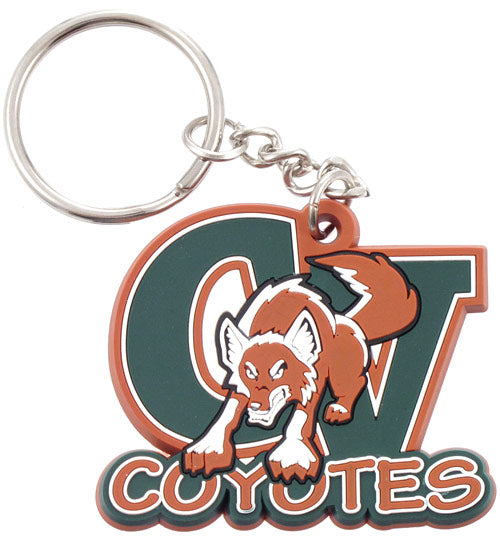 2D PVC Custom Keychains