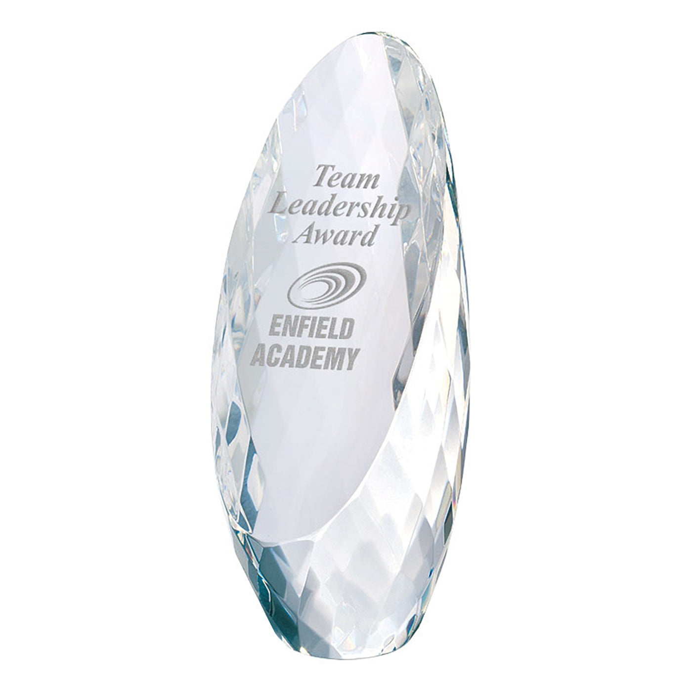 Faceted Optical Crystal Egg Award