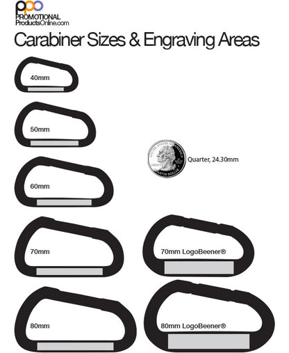 An image showing the different carabiner sizes and their comparison with a coin. 