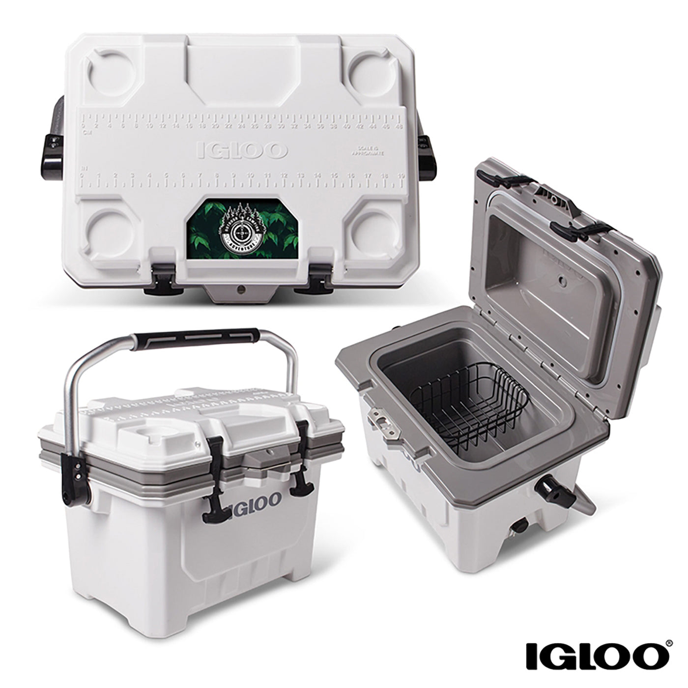 IMX 24 Quart, 35-Can Cooler